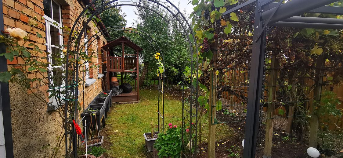 Garten 1