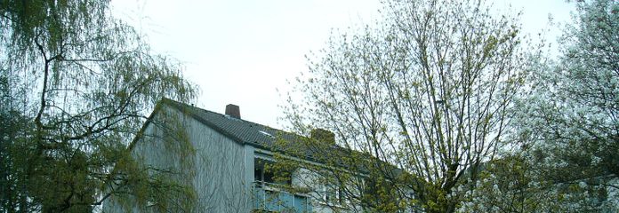 Außenansicht Garten