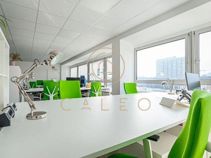 CALEO ¦ Sachsenhausen ¦ flexibel + sofort bezugsfertig ¦ all inclusive ¦ PROVISIONSFREI – Foto 1
