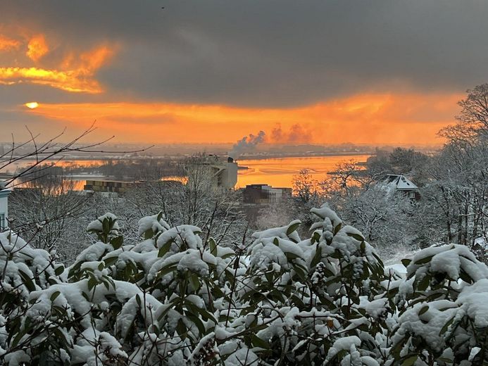 Wohnen, wo Hamburg zur Elbe hinabsteigt – Winterlicher Sonnenaufgang