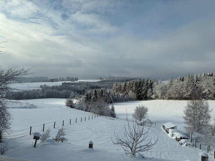 Haus im Grünen mit unverbaubarem Blick über den Frankenwald in ruhiger Lage – Blick vom Balkon