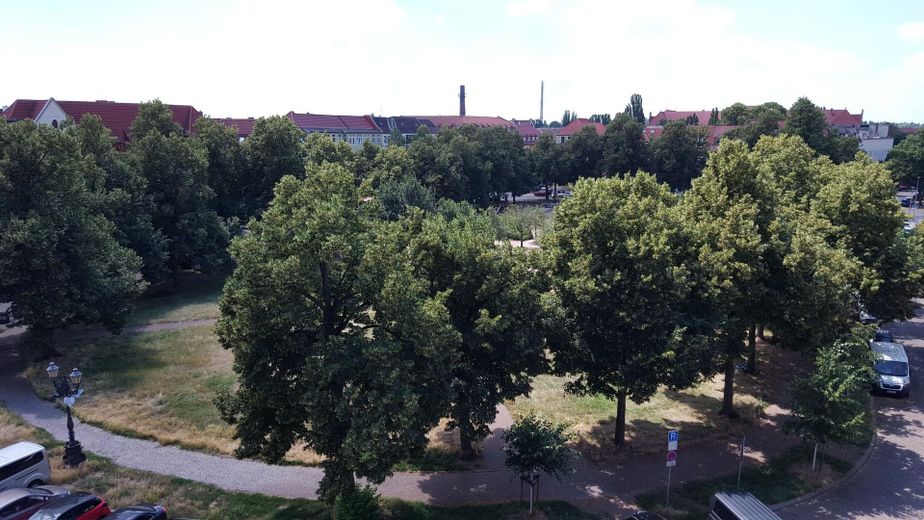 Schellheimerplatz