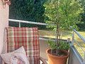 Luminosissimo appartamento di 3 locali con 2 balconi, 2 cantine, accesso al giardino, ottima distribuzione ecc. – Foto 11
