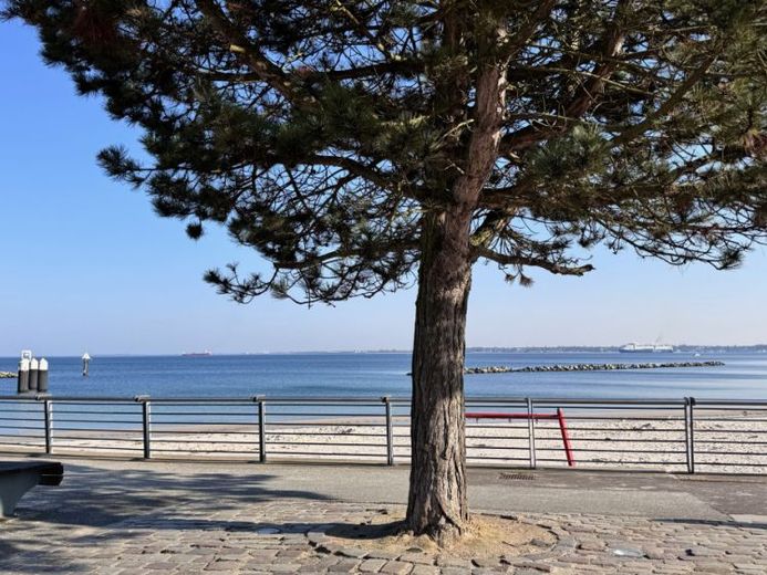 Pure sea views in the Olympiazentrum Schilksee – Foto 1