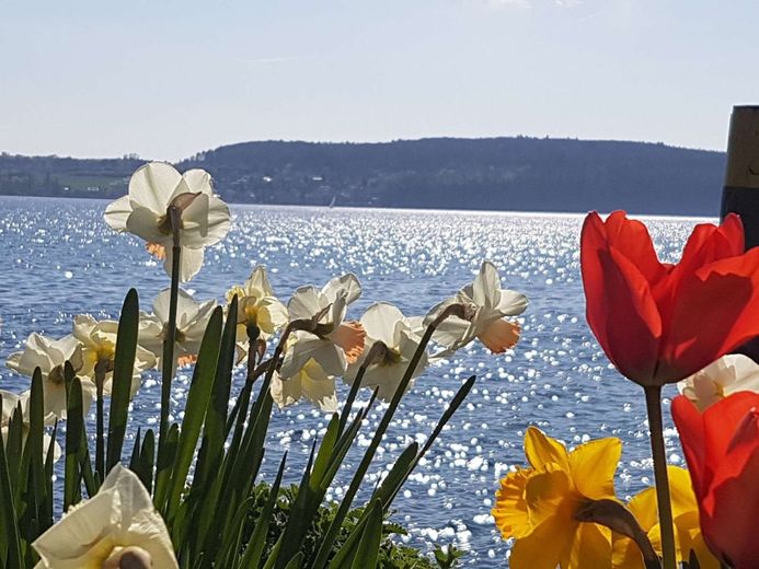 wenige Schritte zum Wasser