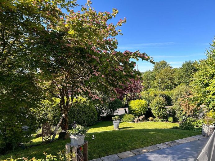 Terrassenblick
