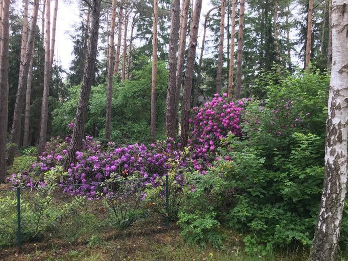Besondere Gelegenheit pos. Bauvoranfrage - Lindwedel /direkt – Foto 1