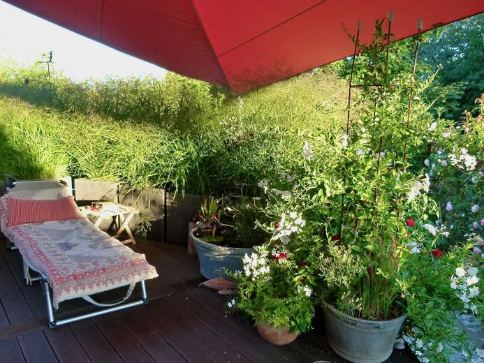 Sonniges Reihenendhaus mit Atelier - ruhige, familienfreundliche Lage, Garten & Blick über Skyline – Terrasse Süden 