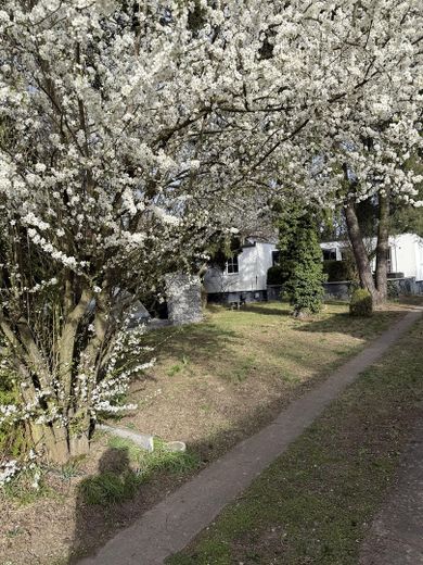 Haus im Bungalowstil als Fertigbau mit Pool, Nebengelass und großem Grundstück – Foto 1
