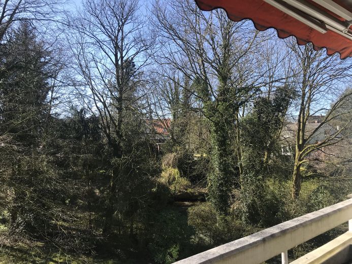 Ausblick
