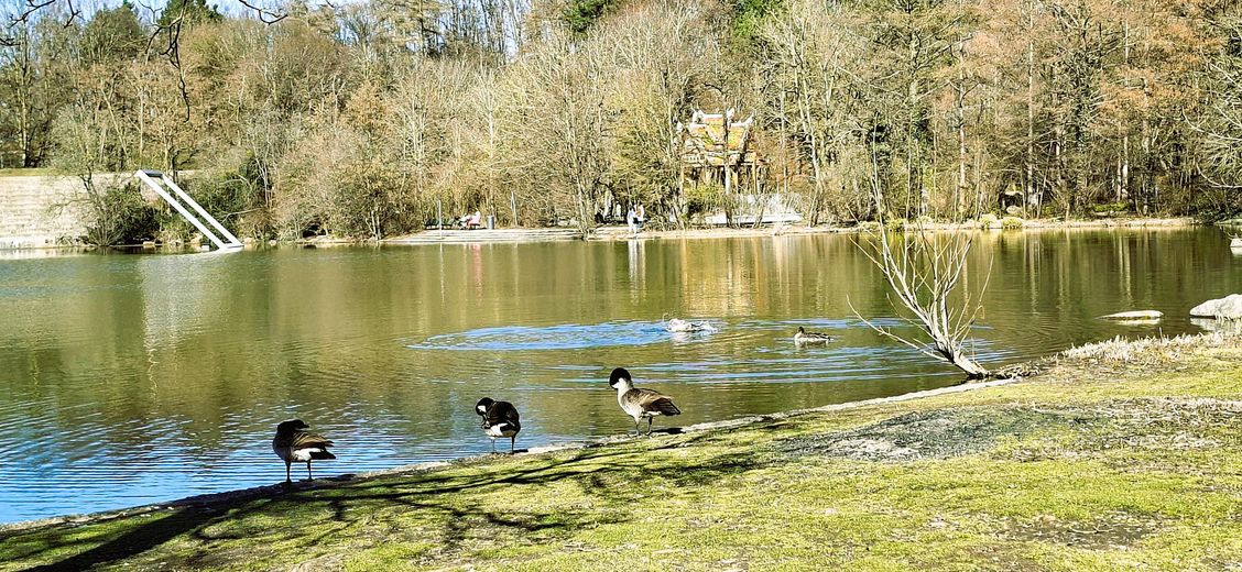 Impressionen Westpark