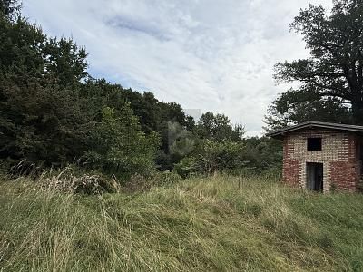 MULTI-FAMILY IDYLL IN THE STERNBERG LAKE DISTRICT – 1791977303_a40577.jpg