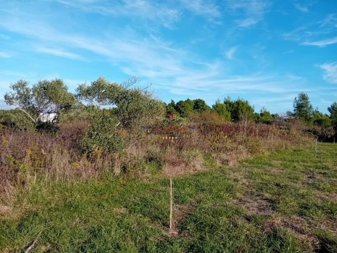 कोज़ियाक, सुंदर स्थान पर कृषि भूमि, 1350 m2 – फोटो 1