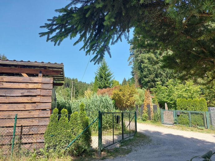 Abkühlung im Grünen: Traumhaftes Waldgrundstück & Wohlfühloase (Wochenendhaus/Freizeitgrundstück) – Foto 11