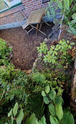 Wohnen, wo andere Urlaub machen. Strandnähe, Gartenecke. 2 Zimmer Wohnung für Singles oder Paare – फोटो 21