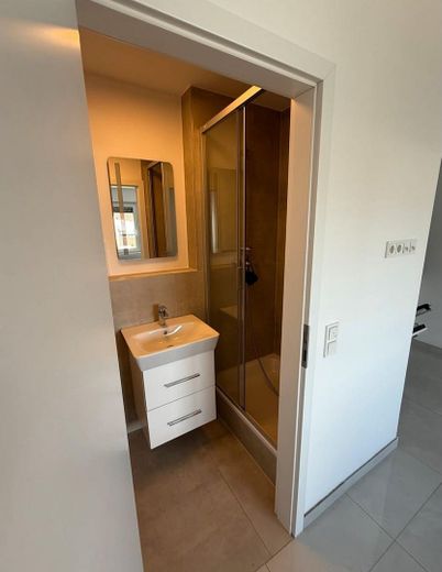 Modernes 1-Zimmer-Apartment mit Einbauküche – auf Wunsch möbliert – in Mörfelden-Walldorf – BAD