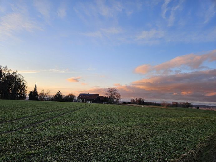 tolle Aussicht