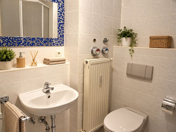 Helles 1-Zimmer-Apartment mit Südbalkon, Einbauküche und Stellplatz in Nürnberg-Laufamholz – Bad 1