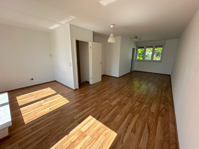 DG Studio