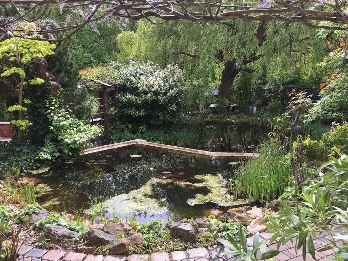 Am Waldrand gelegenes Einfamilienhaus mit ELW und parkähnlichem Garten – Schwimmteich