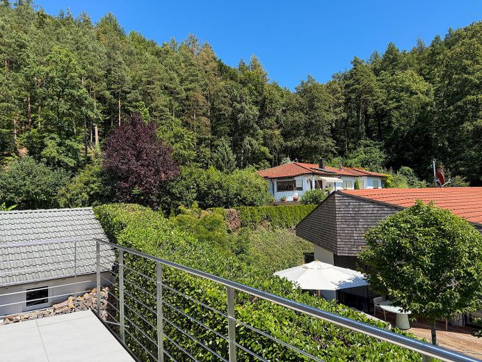 Porzione di bifamiliare con vista sul lago a Ludwigshafen – Balkon DG