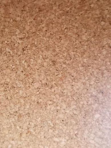 RESERVIERT  Schäfersee-Nähe! Bezugsfrei, lebendig – Boden Zimmer