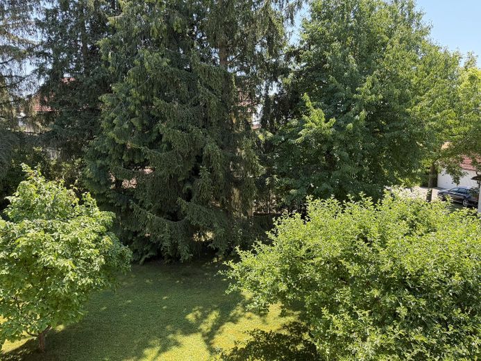 قريب من المركز: منزل سكني مع معرض/ورشة، شقة ملحقة.  & حديقة طبيعية حالمة (834 qm) – Garten von Balkon