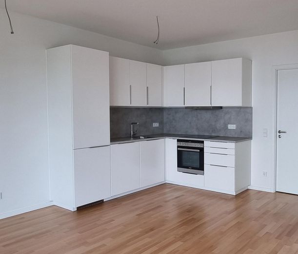 Moderne Küche + Einbaugeräten