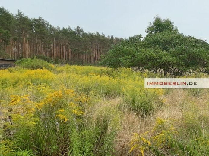 IMMOBERLIN.DE - Großartiges Baugrundstück beim Zernsdorfer Lankensee – Foto 1