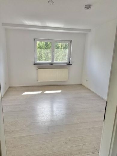 4. Zimmer DG