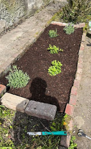 Appartement de 4 pièces avec cuisine équipée et jardin à louer ! Animaux domestiques autorisés ! – Photo 13