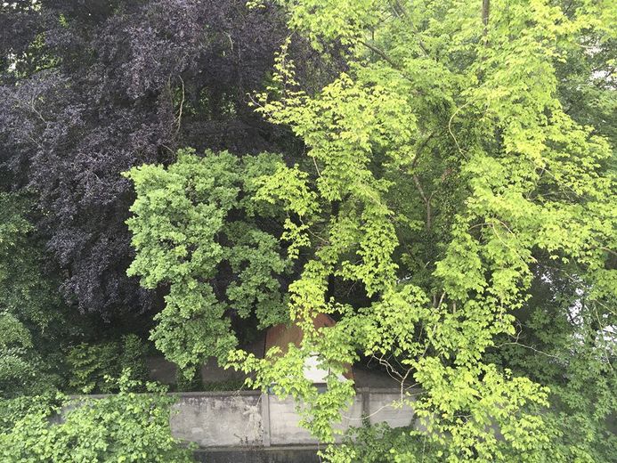 Am Klostergarten: Stadtjuwel in Landshut, Dachgeschoss, absolut ruhig, sonnig, Blick ins Grüne, zentral – Foto 15