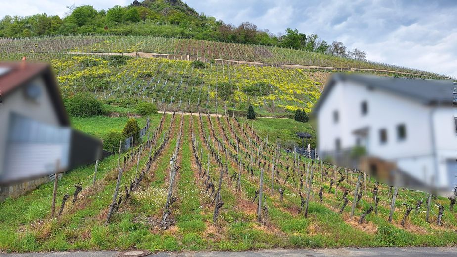 Grundstück