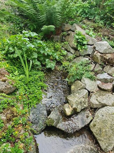 Naturgarten