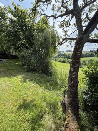Ausblick