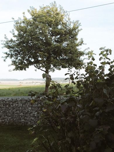 Ausblick von der Terrasse