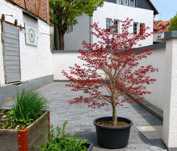 Wohnhaus in Idstein-Heftrich mit großem Innenhof, Scheune und Nebengebäuden – Freisitz