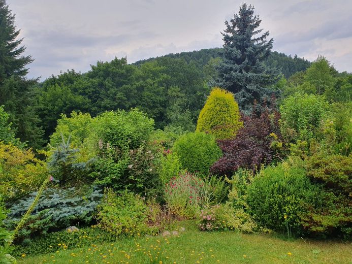 Garten, Mitte