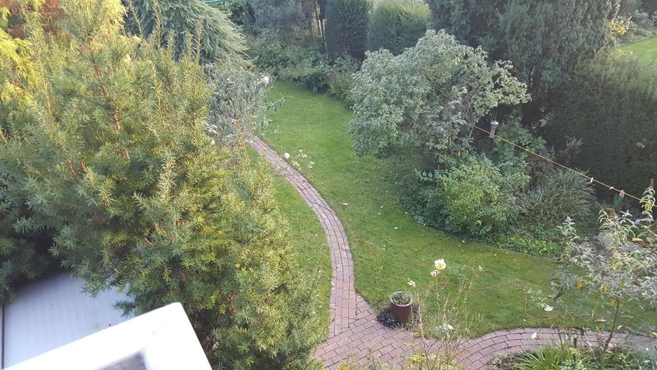 Blick vom Balkon in den Garten