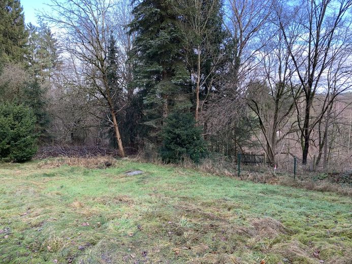 gewerbliches Grundstückspaket - 38222m² - am Bhf./Bahngleisen – 240105_Lengenfeld_GS_1263_24_25_26_031