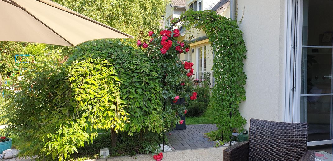 Casa pari al nuovo, curata, in un ambiente vicino alla natura – Foto 22