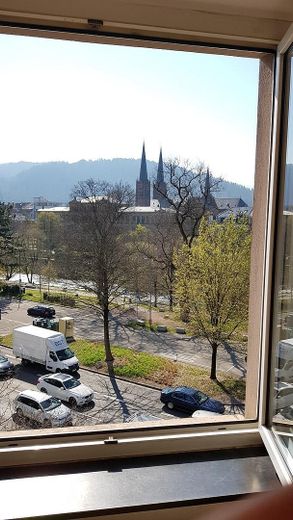 Prov.frei! 1-Zi Altstadt-Wohnung mit Dreisamblick an der Uni! – Direkte Aussicht auf "Dreisam"