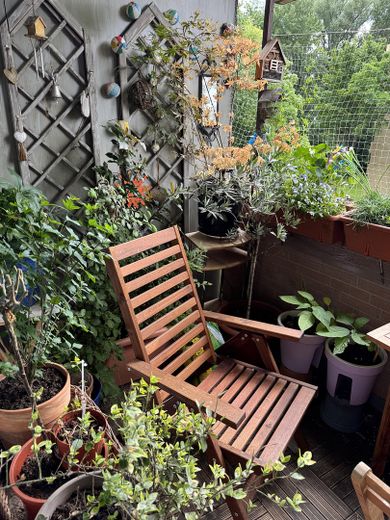 Balkon