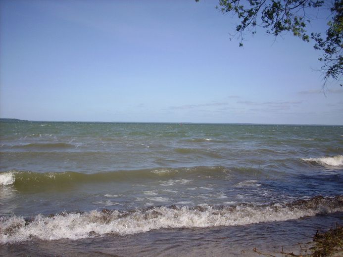 Grundstück an der Müritz – Foto 2