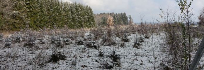 Terreno de cultivo bien comunicado en ubicación atractiva – aprox. 6.600 m² en Schnaitsee