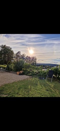 Fernblick