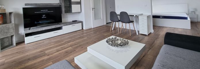 Exklusive möblierte 1 1/2 Zimmer-Wohnung Uni/HBF nähe mit EBK, großer Logia, Internet usw. – Schönes Wohnzimmer