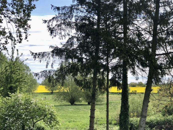 Schönes, solide saniertes und bezugsfertiges Haus auf Rügen mit Photovoltaik – Blick von Terrasse