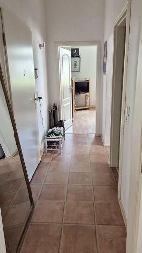 Accogliente appartamento d’epoca di 2 locali con cucina componibile, disponibile dal 1.11.2026 – Foto 4