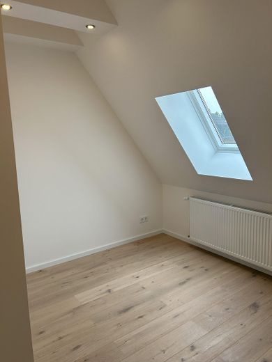 WG-Zimmer in 4er WG komplett saniert und modern – Foto 6